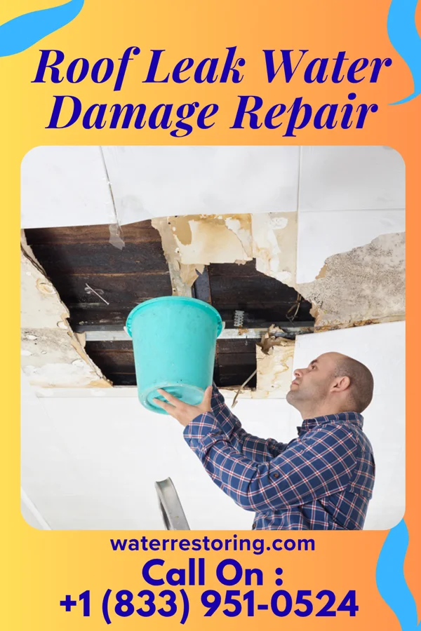 Roof Leak Water Damage Repair in South Union, SC