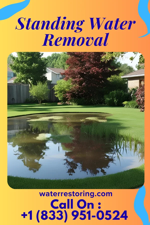 Standing Water Removal in South Union, SC